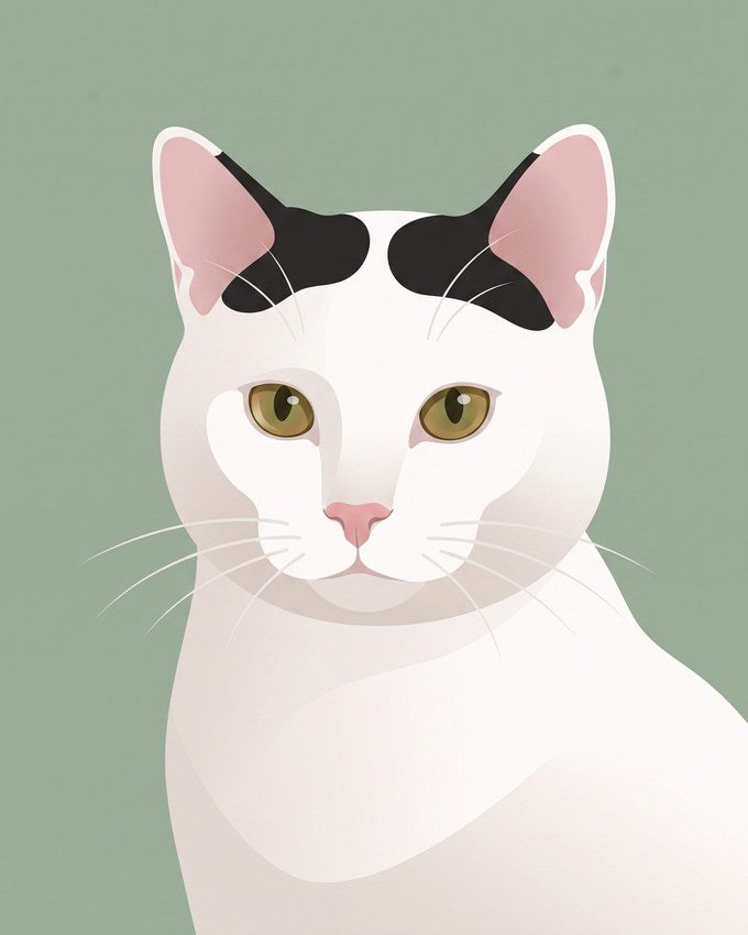 Minimalist