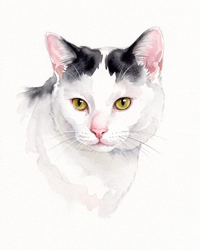 Watercolour