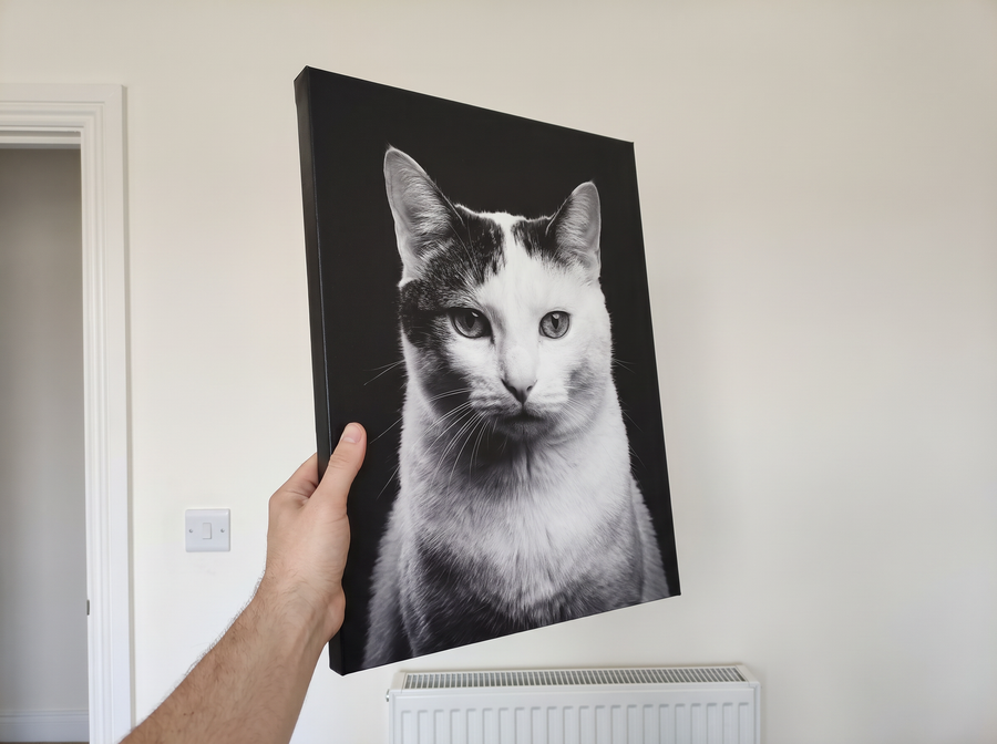A canvas, not a file.