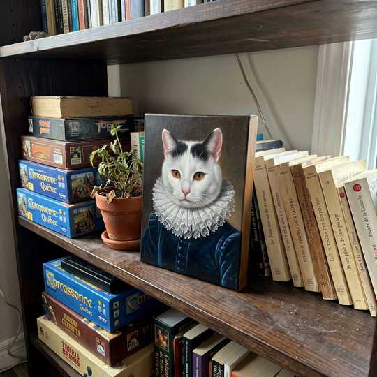 On the bookshelf